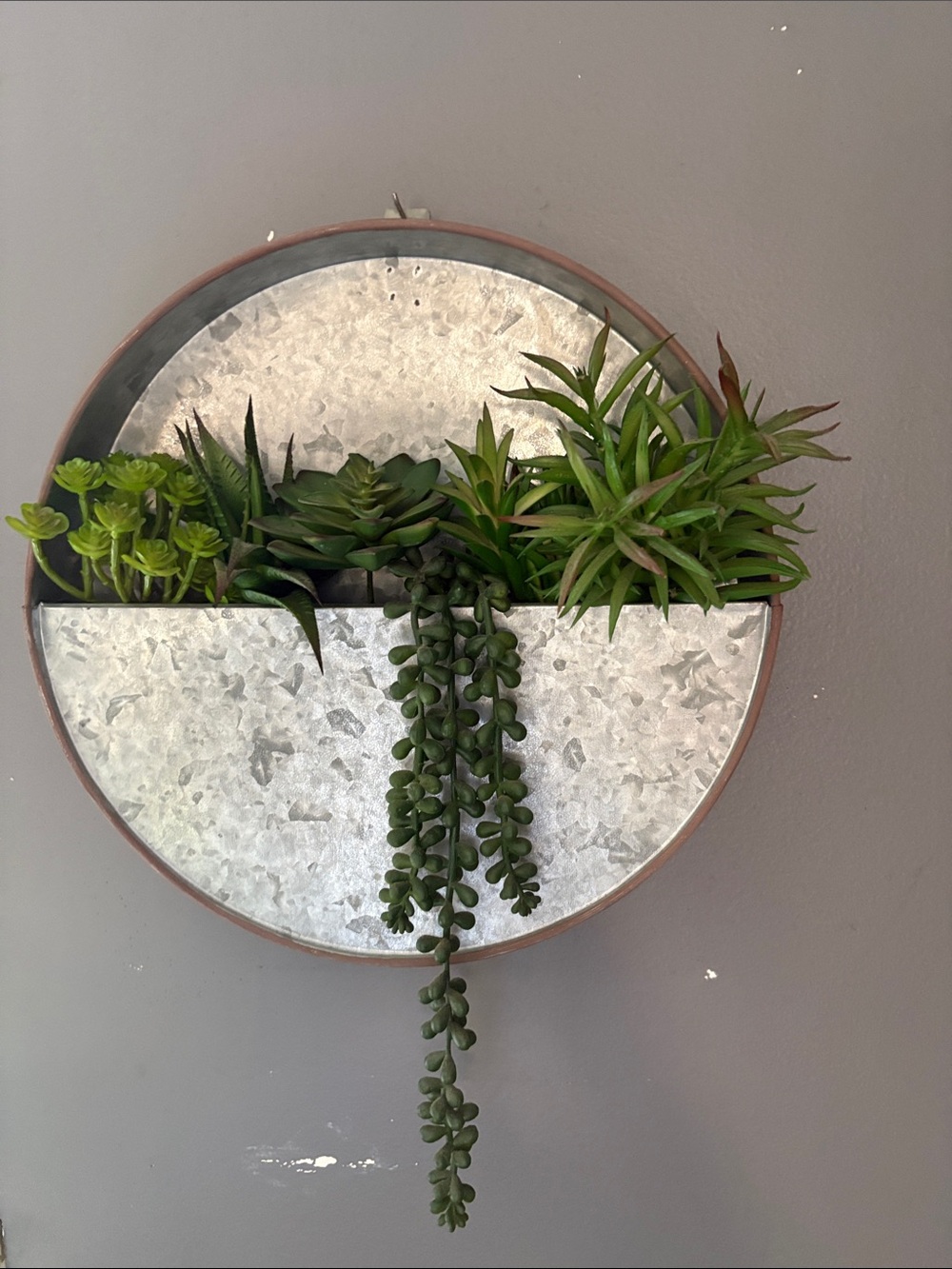 Galvanized Metal Wall Planter with Green Succulent Accents